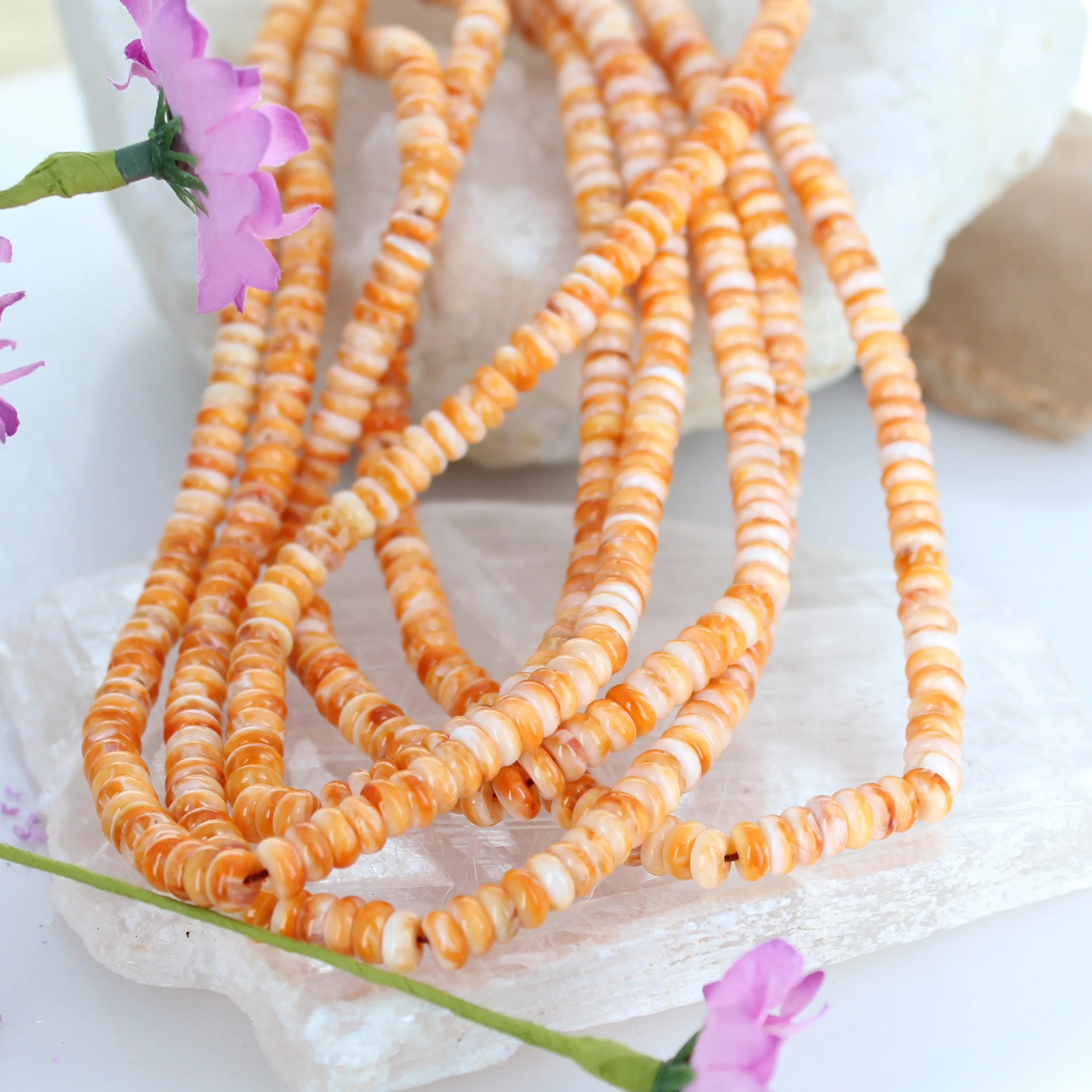 Apricot Orange Spiny Oyster Beads Buttons 6mm 16