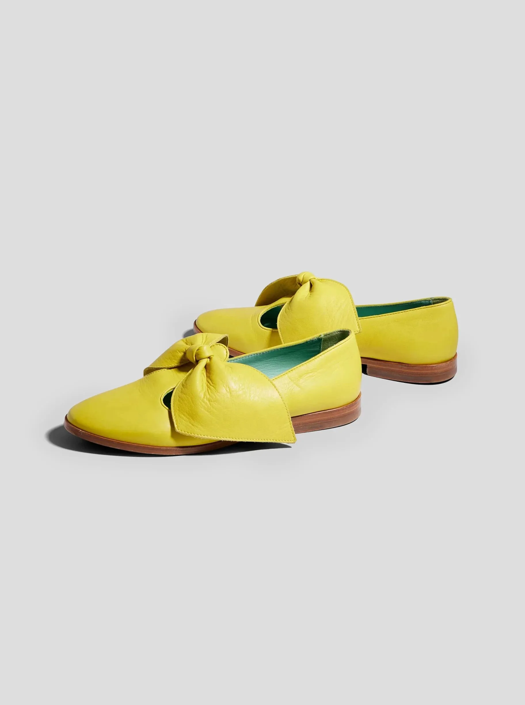 BB Ballerina Shoes in Yellow Leather