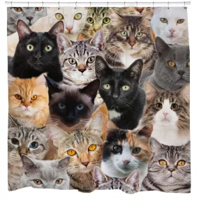 Cats For Days Shower Curtain