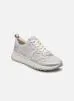 DashLite Jazz par Clarks
