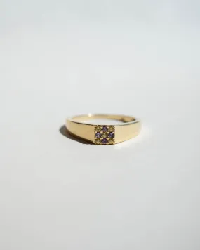 Duetto Signet Ring - Purple & Yellow