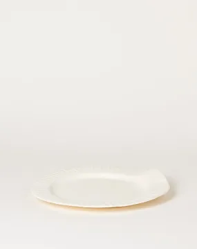 Large Paper Plate