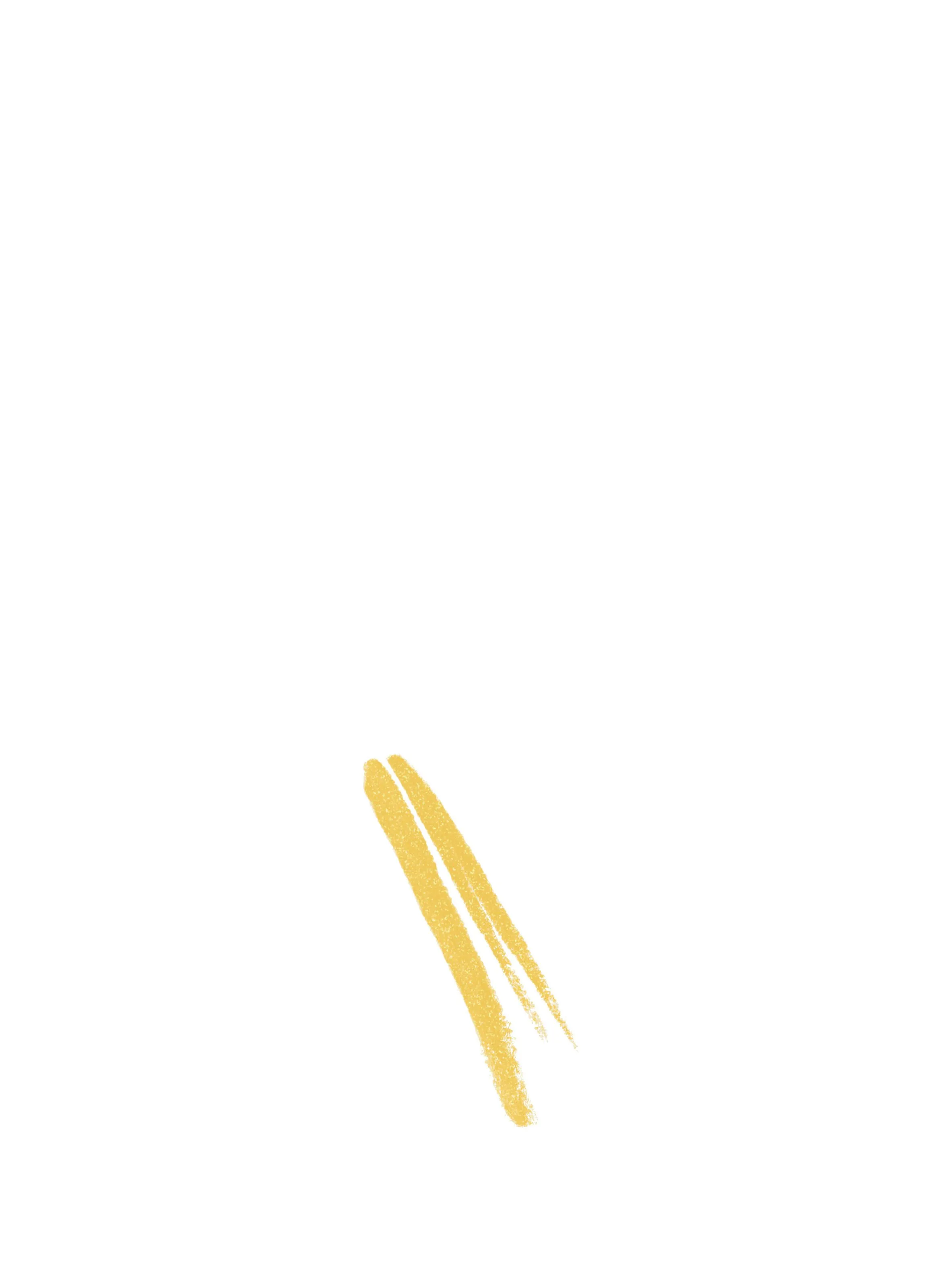 NARS  High-Pigment Eyeliner Pencil - Golden