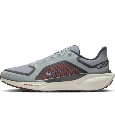 Nike Air Zoom Pegasus 41 Gore-Tex 'Light Pumice Ashen Slate Burgundy'