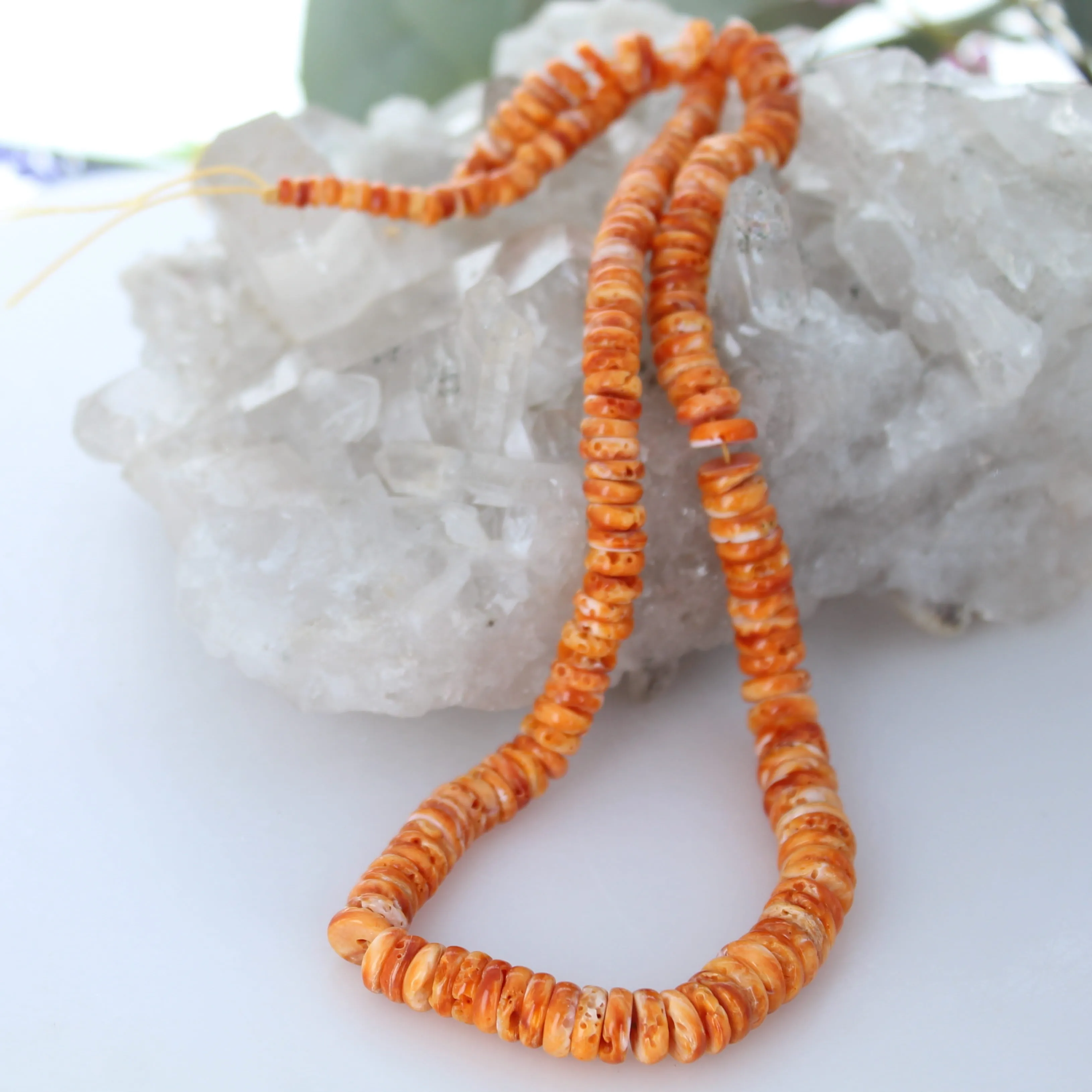 ORANGE SPINY OYSTER Beads Graduated Buttons 5-10mm 17