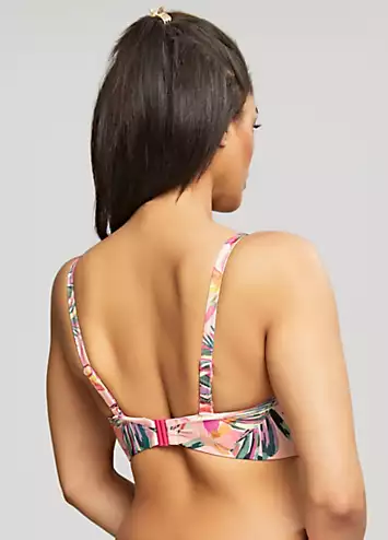 Panache Swim Paradise Bandeau Bikini Top | Grattan