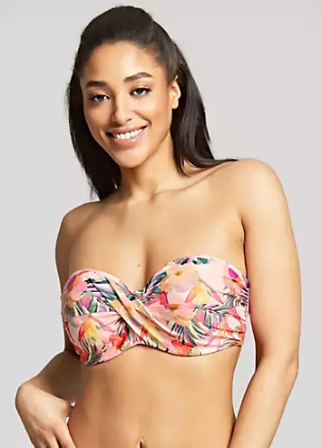 Panache Swim Paradise Bandeau Bikini Top | Grattan