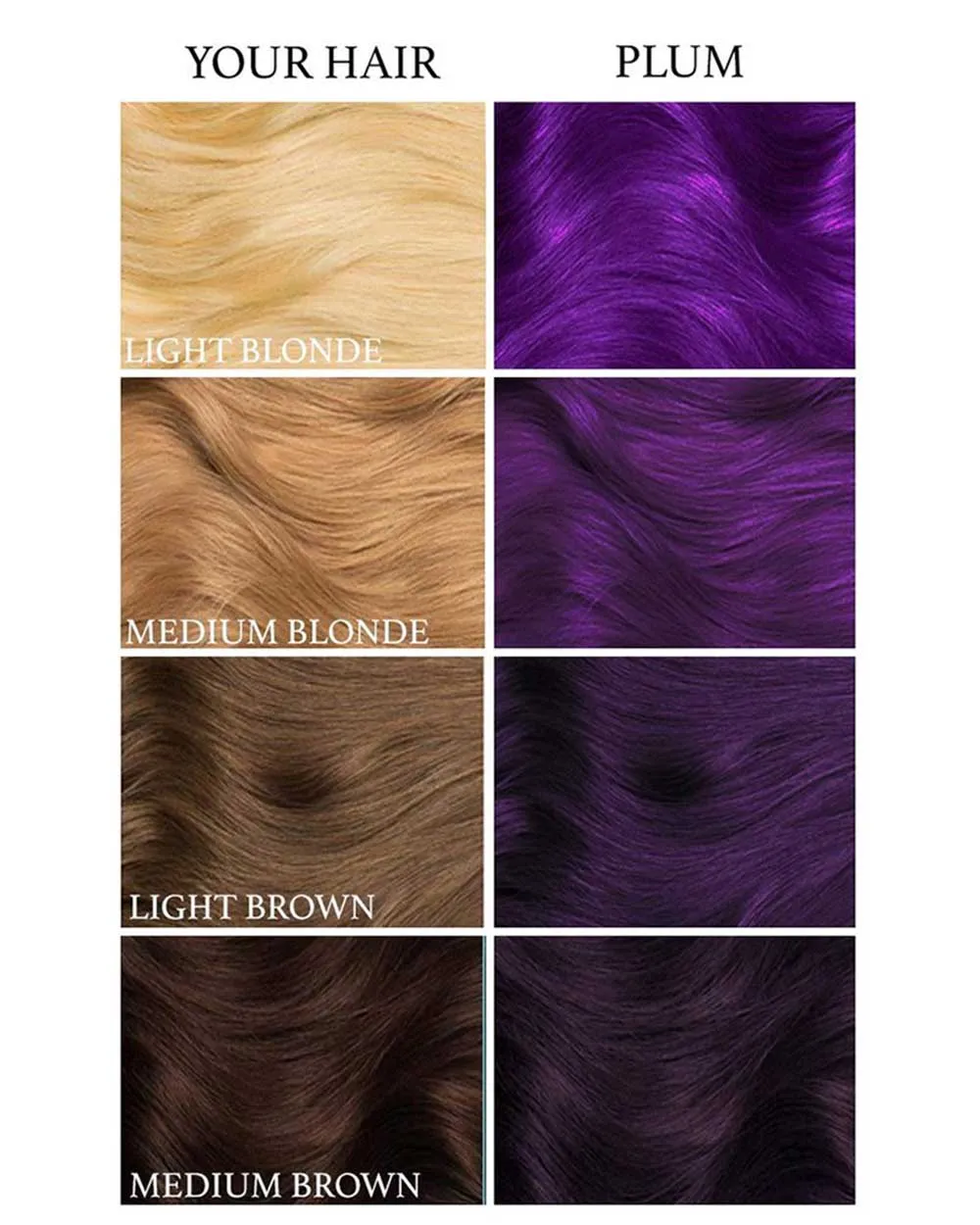 Plum Purple Hair Colour