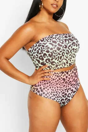 Plus Ombre Leopard High Waisted Bikini