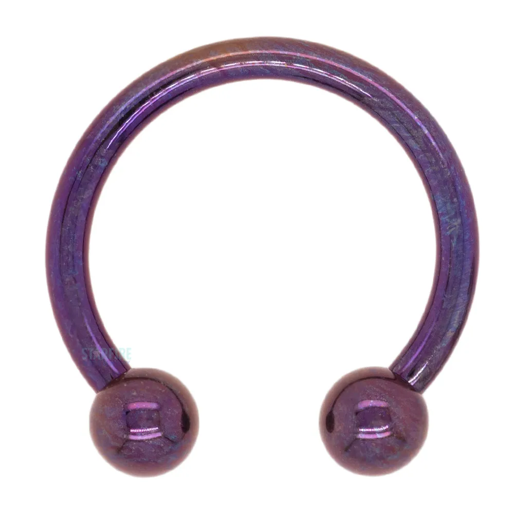 Titanium Circular Barbell - PU –Purple