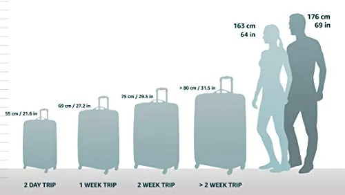 Victorinox Spectra 2.0 Dual-Access International Carry-On Hardside Spinner Suitcase, 21-Inch, Black