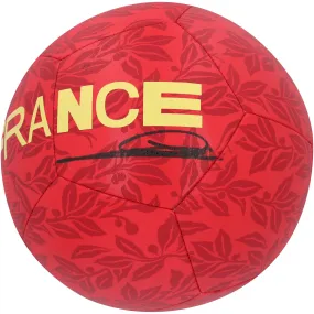 Zinedine Zidane France National Team Autographed Fanatics Authentic Nike Soccer Ball